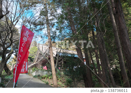 桜川市 椎尾山 薬王院 ひな祭り 本堂 晴天 桜川市 椎尾山 薬王院 ひな祭り 本堂 晴天 138736011