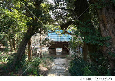 桜川市 椎尾山 薬王院 ひな祭り 山門 晴天 桜川市 椎尾山 薬王院 ひな祭り 山門 晴天 138736024