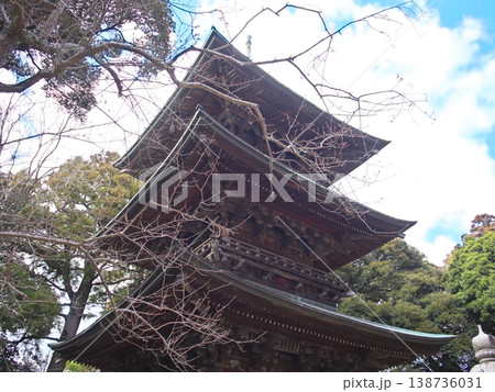 桜川市 椎尾山 薬王院 ひな祭り 晴天 桜川市 椎尾山 薬王院 ひな祭り 晴天 138736031