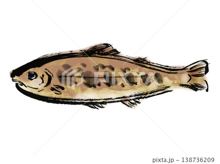 イワナの筆書き和風イラスト素材 138736209