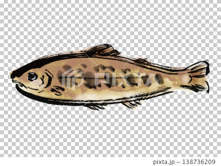 イワナの筆書き和風イラスト素材 138736209