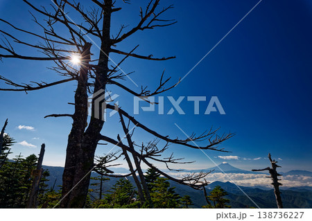 奥秩父・朝日岳山頂から見る富士山 奥秩父・朝日岳山頂から見る富士山 138736227
