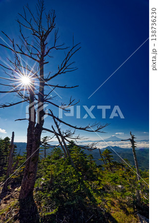奥秩父・朝日岳山頂から見る富士山 138736230