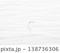 波間を飛ぶ海鳥、背景素材 138736306
