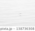 波間を飛ぶ海鳥、背景素材 138736308