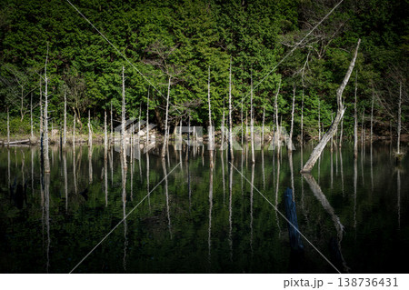 山口県の桜の名所 山口県の桜の名所 138736431
