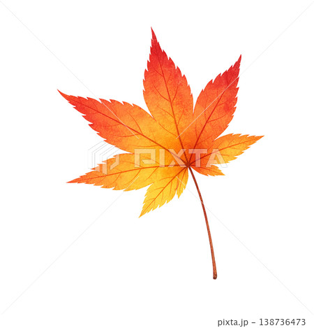 もみじの葉 水彩イラスト 秋の紅葉リーフ素材 138736473