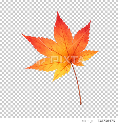 もみじの葉 水彩イラスト 秋の紅葉リーフ素材 138736473