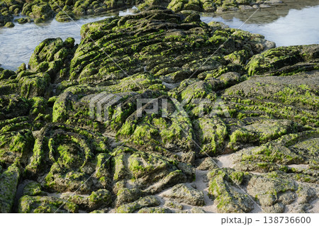 沖縄県_ 西表島_南風見田の浜 沖縄県_ 西表島_南風見田の浜 138736600