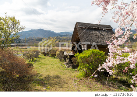 水車の里公園の桜 138736610