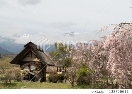 水車の里公園の桜 138736611