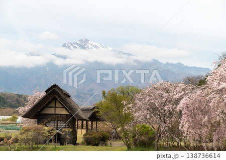 水車の里公園の桜 138736614