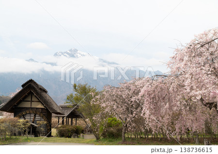 水車の里公園の桜 水車の里公園の桜 138736615