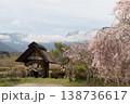 水車の里公園の桜 138736617