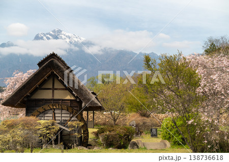 水車の里公園の桜 138736618