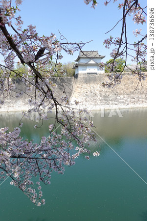 春の桜の季節・大阪城公園(2026年4月撮影) 春の桜の季節・大阪城公園(2026年4月撮影) 138736696