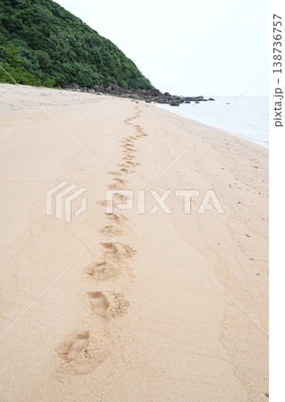 沖縄県_西表島_南風見田〜鹿川_大浜 138736757