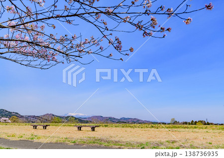 春 宮城丸森の桜づつみ公園を歩く 春 宮城丸森の桜づつみ公園を歩く 138736935