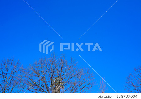 冬の澄み切った濃い青空を背景に枯れた木の枝が写り込む風景写真 冬の澄み切った濃い青空を背景に枯れた木の枝が写り込む風景写真 138737004