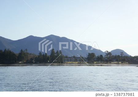 朝焼けに照らされるトフィーノの海と森の風景 138737081
