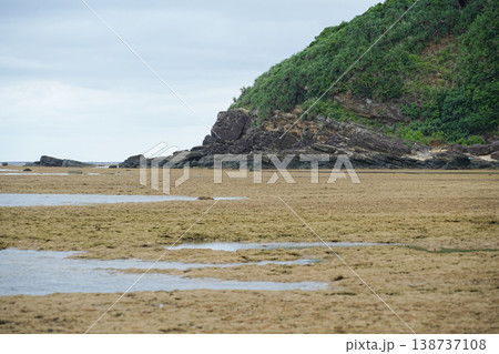 沖縄県_西表島_鹿川〜南風見田 沖縄県_西表島_鹿川〜南風見田 138737108