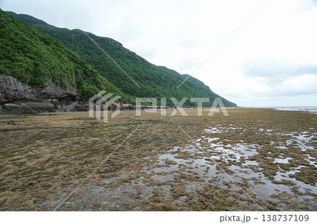 沖縄県_西表島_鹿川〜南風見田 沖縄県_西表島_鹿川〜南風見田 138737109