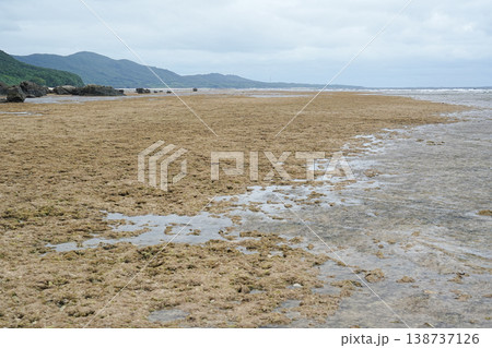 沖縄県_西表島_鹿川〜南風見田 沖縄県_西表島_鹿川〜南風見田 138737126