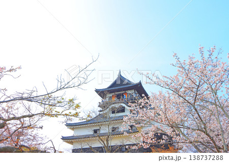 愛知県犬山市、犬山城と桜の風景 愛知県犬山市、犬山城と桜の風景 138737288