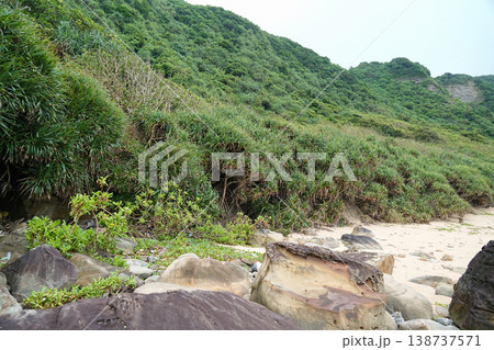 沖縄県_西表島_鹿川〜南風見田 沖縄県_西表島_鹿川〜南風見田 138737571
