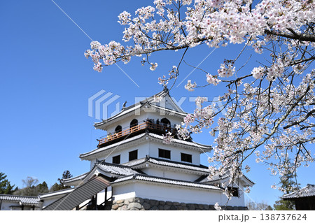 桜満開の白石城 138737624