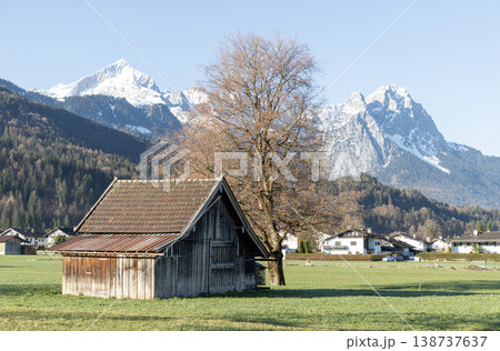 Traditional Wooden Barn and Bare Tree with Snowy Alpine Peaks in Bavaria 138737637