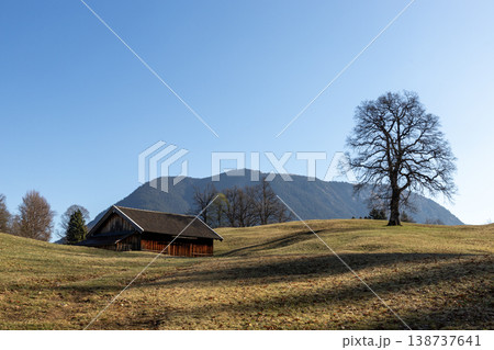 Lone Tree and Wooden Barn on Sunlit Meadow with Wide Blue Sky 138737641