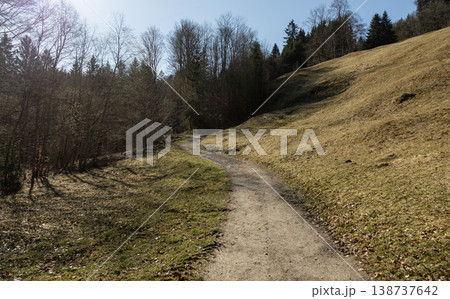 Winding Dirt Path Through Sunlit Hillside and Forest in Early Spring Winding Dirt Path Through Sunlit Hillside and Forest in Early Spring 138737642