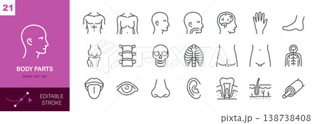 Human Body Parts Vector Icons Set. Anatomy and Medical Symbols, Skeleton, Organs and Sensory Elements. Isolated Editable Stroke Linear Collection. Human Body Parts Vector Icons Set. Anatomy and Medical Symbols, Skeleton, Organs and Sensory Elements. Isolated Editable Stroke Linear Collection. 138738408