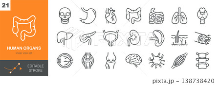 Human Organs Vector Icons Set. Internal Anatomy, Medical and Healthcare Symbols, Biology and Body System. Isolated Editable Stroke Linear Collection. Human Organs Vector Icons Set. Internal Anatomy, Medical and Healthcare Symbols, Biology and Body System. Isolated Editable Stroke Linear Collection. 138738420