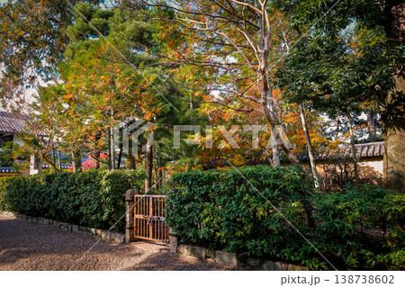 Nov 24 2025 Traditional Stone Path Leading Through Daitoku ji Temple Grounds 138738602
