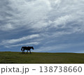 草原を歩く一頭の馬 138738660