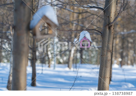 Birdhouses in winter. Pastel house with feeders. Frosted paths with bird dwellings nearby. Morning light highlights delicate winter scene with homes and feeders Birdhouses in winter. Pastel house with feeders. Frosted paths with bird dwellings nearby. Morning light highlights delicate winter scene with homes and feeders 138738987