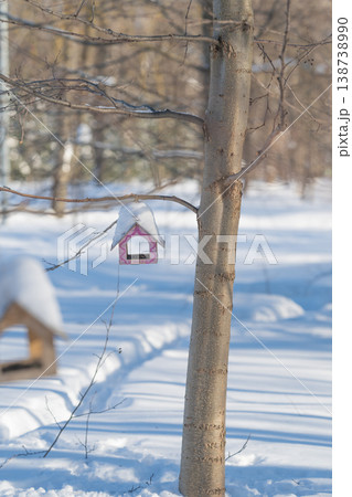 Pink feeder hanging beside birch trunk, vertical crop emphasizes slender branches and negative space, soft sunlight creating warm highlights on crisp snow, quiet contemplative mood Pink feeder hanging beside birch trunk, vertical crop emphasizes slender branches and negative space, soft sunlight creating warm highlights on crisp snow, quiet contemplative mood 138738990