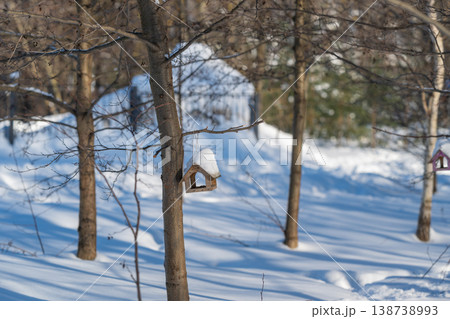 Wooden bird feeder. Suspended feeder among trees. Bird feeder among birches in peaceful park setting. Wooden feeder hanging amid birch trees with tranquil snow backdrop 138738993