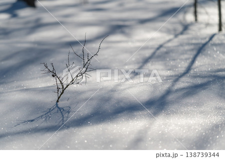 Calm image featuring long blue shadows on snow and sparkles. Serene landscape showing flowing shadows over snow with delicate crystal highlights and smooth textures 138739344