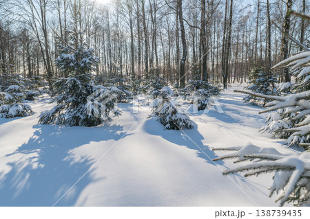 Frosty morning radiates vibrant energy. Shimmering snow and icy landscapes create peaceful ambiance. Bright winter dawn illuminates pristine snow with sparkling icy brilliance 138739435
