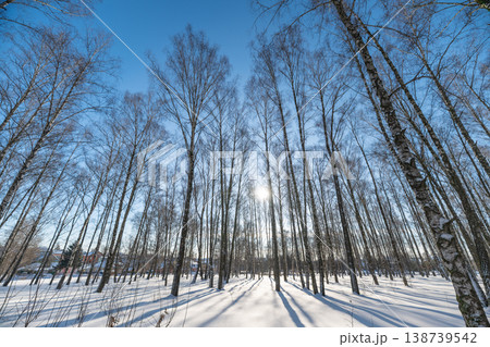 Winter shadows photography. Bright winter sunlight creates striking shadows on snowy terrain. Clear winter day with long tree silhouettes cast by low sunlight over fresh snow Winter shadows photography. Bright winter sunlight creates striking shadows on snowy terrain. Clear winter day with long tree silhouettes cast by low sunlight over fresh snow 138739542