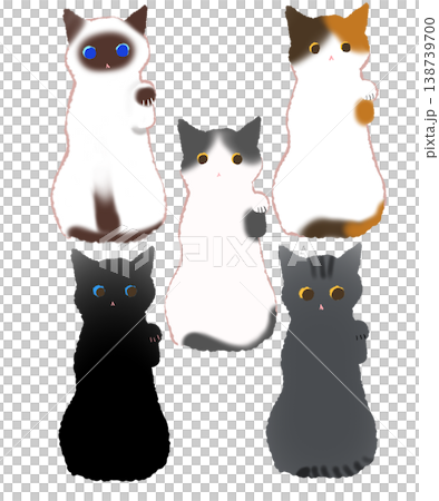 Simple illustrations of various lucky cats 138739700