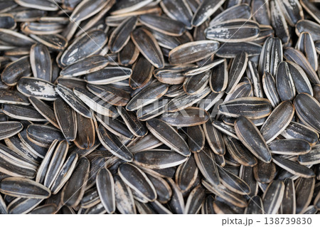 Closeup of salted sunflower shells. Detailed view of seasoned sunflower seed shells. Warm brown textured surface showing salted roasted sunflower shells in high detail Closeup of salted sunflower shells. Detailed view of seasoned sunflower seed shells. Warm brown textured surface showing salted roasted sunflower shells in high detail 138739830