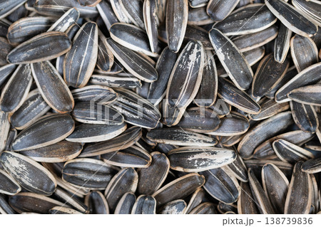 Warm tones highlight street snack nostalgia feelings. Closeup of roasted sunflower seeds with salted shells suggest outdoor snack rituals and nostalgic sentiments Warm tones highlight street snack nostalgia feelings. Closeup of roasted sunflower seeds with salted shells suggest outdoor snack rituals and nostalgic sentiments 138739836