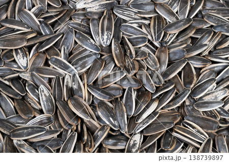 Elegant sunflower seed display for branding and promotional purposes. Stylish rustic sunflower seed arrangement suited for branding visuals and packaging mockups Elegant sunflower seed display for branding and promotional purposes. Stylish rustic sunflower seed arrangement suited for branding visuals and packaging mockups 138739897