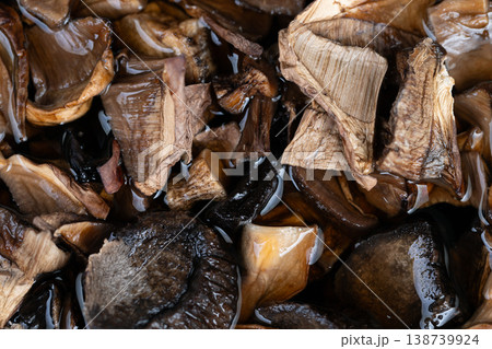 Fungi crunch evaluation. Examination of fragrance and surface attributes of dried fungi. Assessing aroma and surface characteristics of dehydrated mushrooms thoroughly 138739924