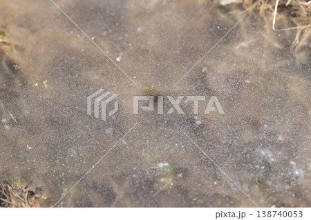 Delicate textured film with scattered bubbles and sparkles. Fine translucent layer showcasing intricate sediment designs and dispersed air spaces with muted colors Delicate textured film with scattered bubbles and sparkles. Fine translucent layer showcasing intricate sediment designs and dispersed air spaces with muted colors 138740053