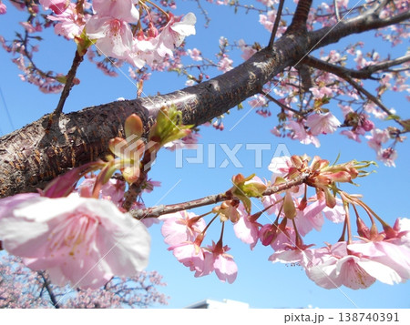 木場公園その3 木場公園その3 138740391